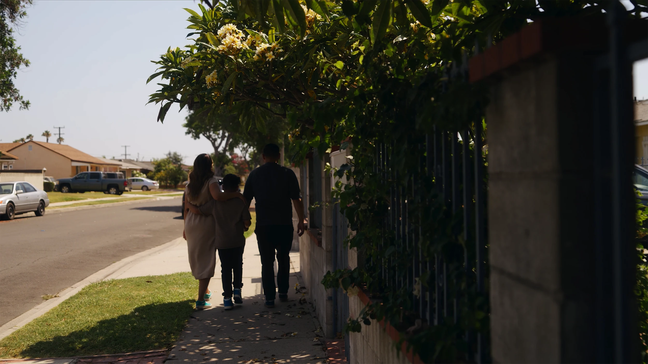 Video Production Company Freed