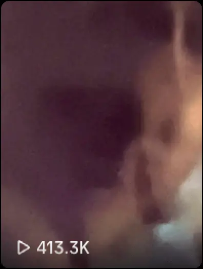 TikTok screenshot